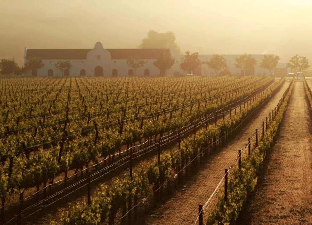 Évasion IBÙ - Image 4