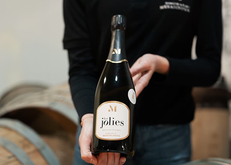 Domaine de Mehaignoul Gallery