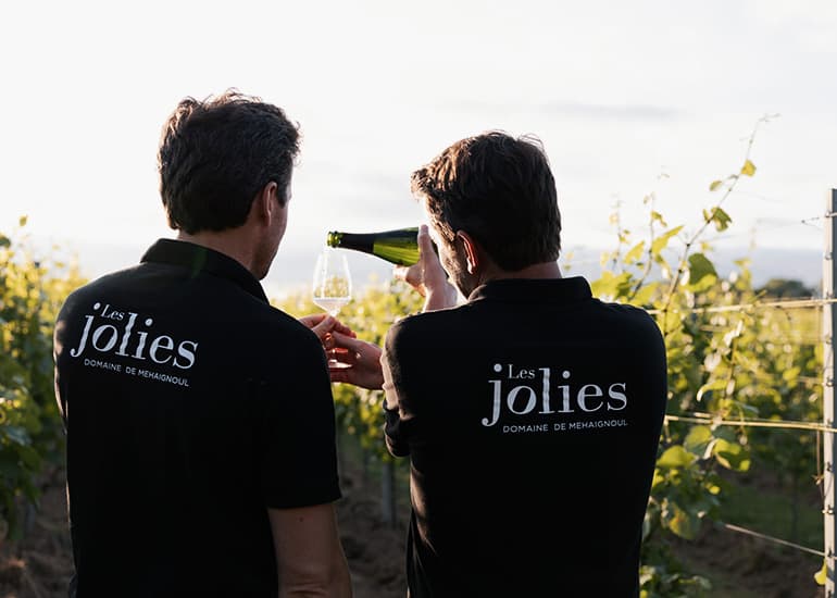 Domaine de Mehaignoul Gallery